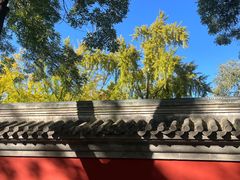 -北京国子监胡同