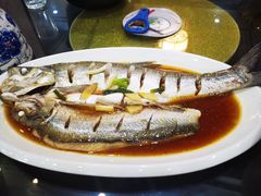 -老马家·舌尖上的西塘美食
