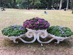 -人民公园(罗湖区)