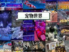 -青石桥花鸟鱼虫市场(叠翠城店)