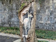 -灵谷景区