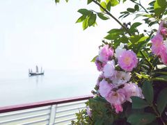 -贡湖湾湿地公园