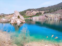 -树山生态村