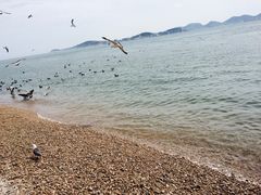 -海驴岛(荣成市)