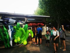 -青年湖公园水上世界