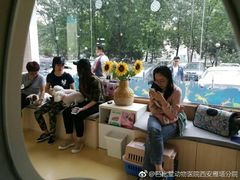 -芭比堂动物医院·犬猫全科·异宠专科(雁塔分院)