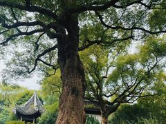 -惠山古镇·寄畅园