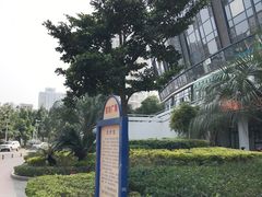 -福建省奥林匹克体育中心-体育馆