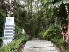 -火炉山森林公园