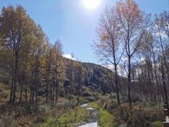 -长虫山生态公园风景林