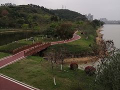 -鹤之洲湿地公园