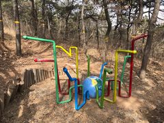 -北京西山国家森林公园