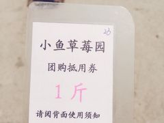 -小鱼草莓采摘园农家乐·小鱼餐厅