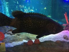 -沈阳海洋探索中心