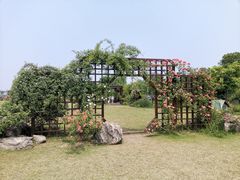 -鹅湖玫瑰文化园