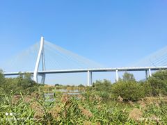 -芒洲湿地公园