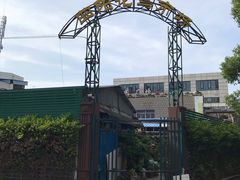 -曲阳花鸟市场(曲阳路店)
