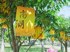 -尚湖风景区