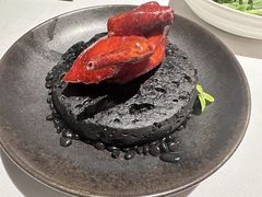 -柴门·头啖汤(天安千树店)