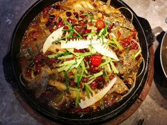 -老板恋上鱼(恒隆广场店)