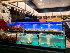 -苏格里岛自助烤肉海鲜火锅(成都金牛万达店)