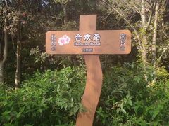 -顾村公园