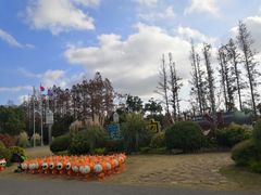 -上海长兴岛郊野公园