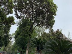 -四川大学(华西校区)