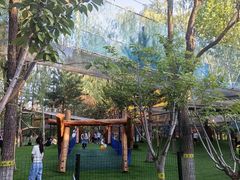 -回龙观体育文化公园