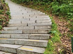 -汤旺河林海奇石景区