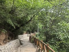 -大岭沟猕猴桃谷风景区