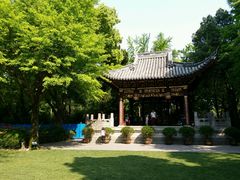 -汇龙潭