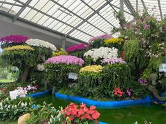 -华南国家植物园-售票处