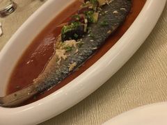 清蒸鲥鱼-上海金桥红枫万豪酒店-万豪中餐厅