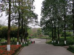 -重庆彩云湖湿地公园