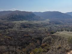 -御道口草原森林风景区