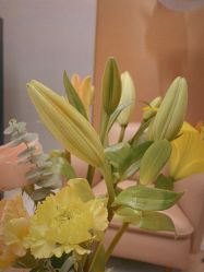 -尊尚柏丽美容SPA