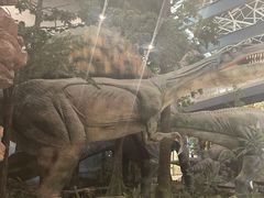 -湖南省地质博物馆