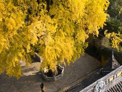-苏州上方山国家森林公园