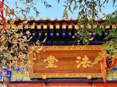 -兴教寺
