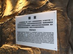 -金钉子远古世界景区