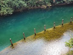 -鼎湖山风景区