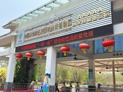 -中国科学院西双版纳热带植物园