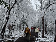 -紫金山山顶公园