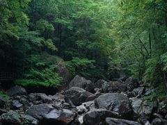 -花岩国家森林公园