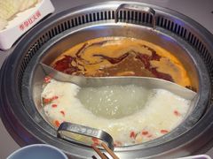 -季季红火锅(动壹店)
