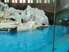 -帝企鹅自助餐厅•儿童岛•真企鹅(长隆企鹅酒店)