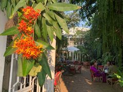 -Fern Forest Cafe