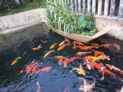 -千滋百味·醉江澜花园餐厅(街道口店)