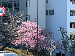 -大阪府警察本部